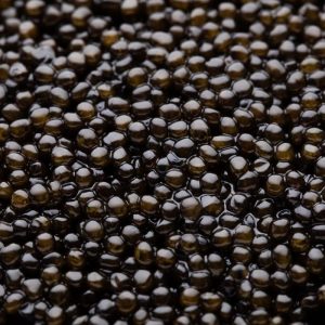 Beluga Royal Caviar