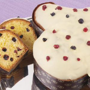 Artisan Colomba  with wild berries and white chocolate
